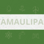 Instrumentos de Promoción para la Transición Energética para el Estado de Tamaulipas