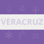 Instrumento de Promoción para la Transición Energética para el Estado de Veracruz